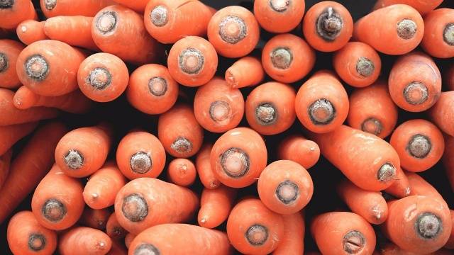 Siperiaa varten kaavoitetut porkkanat