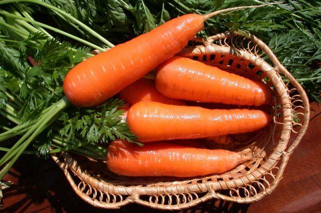 Carrot marmalade F1