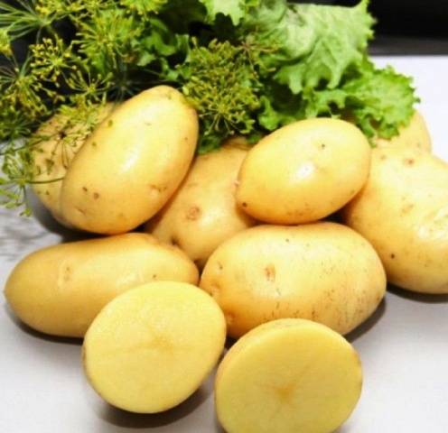 Riviera potatoes