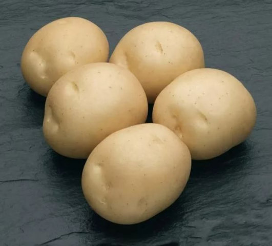 Sifra kartupeļi