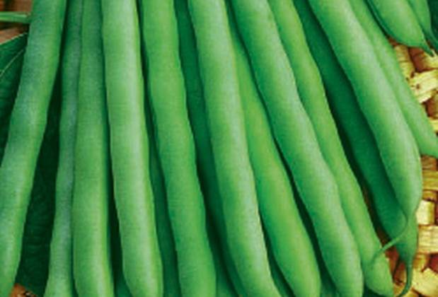 Green Giant Beans