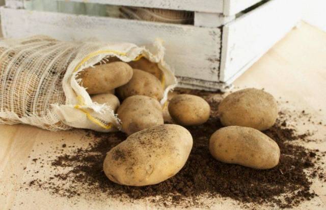 أصناف البطاطس المبكرة والسوبر: الوصف والصور والتعليقات