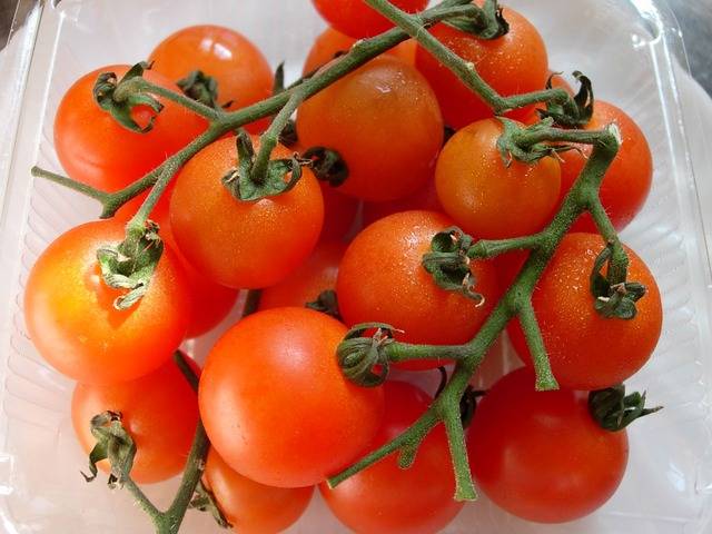 Групирани домати за оранжерии