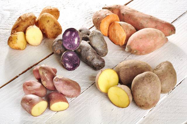 As melhores variedades de batata para armazenamento no inverno