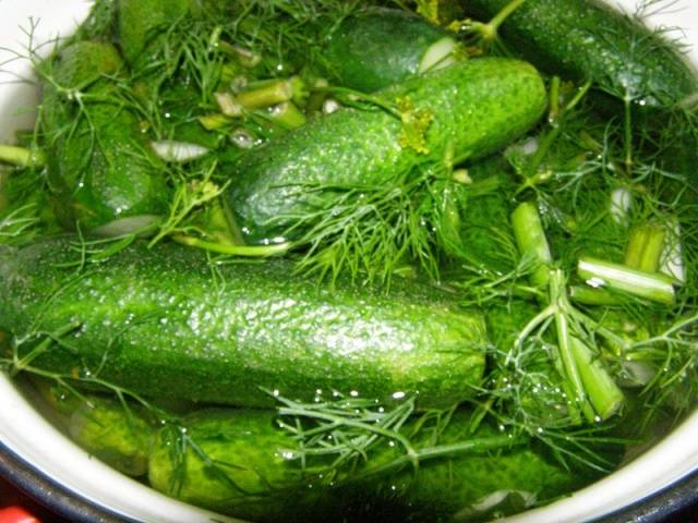 Cucumber Meringue
