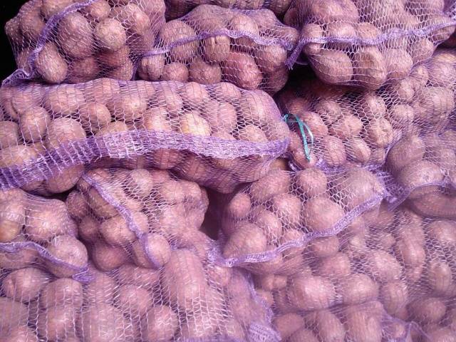 „Bellarose“ bulvės