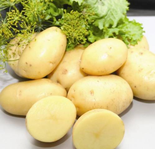 Rane i super rane sorte krumpira: opis, fotografije, pregledi