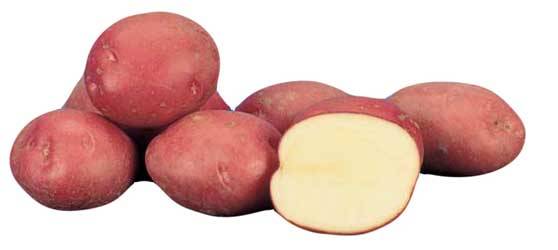 Aladinské brambory