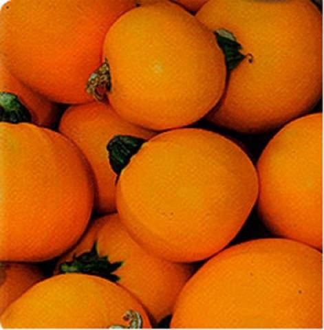 canard mandarin
