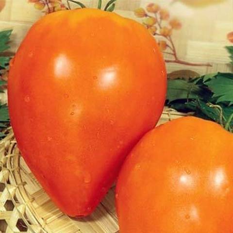หัวใจสีส้ม